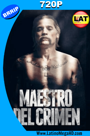 Maestro del Crimen (2017) Latino HD 720p ()